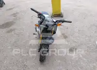 2024 Honda GROM photo