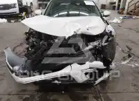 2024 Honda CIVIC photo