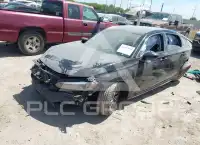 2024 Honda CIVIC photo