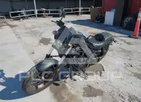 2024 Honda CMX500 фото