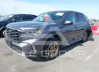 2024 Honda PILOT фото
