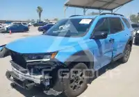 2024 Honda PILOT photo