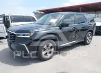 2024 Honda PILOT фото