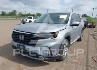 2024 Honda PILOT photo