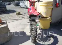 2024 Honda CRF250 photo