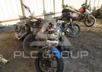 2024 Honda CMX фото