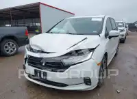 2024 Honda ODYSSEY фото
