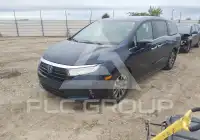 2024 Honda ODYSSEY фото