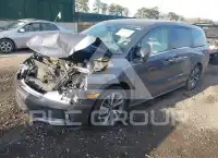2024 Honda ODYSSEY фото