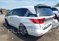 2024 Honda ODYSSEY фото