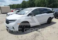 2024 Honda ODYSSEY фото