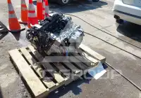 2024 Honda CIVIC фото