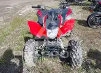 2024 Honda TRX250 фото