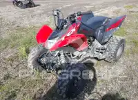 2024 Honda TRX250 фото