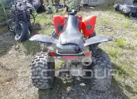 2024 Honda TRX250 фото