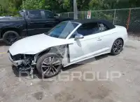 2024 Audi S5 фото