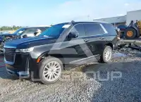2024 Cadillac ESCALADE фото
