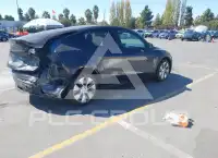 2024 Tesla Model Y photo