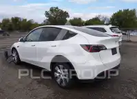2024 Tesla Model Y photo