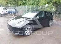 2024 Tesla Model Y фото