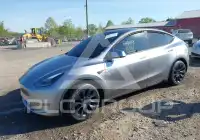 2024 Tesla Model Y photo