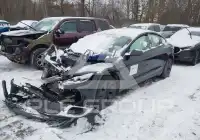 2024 Tesla Model 3 фото