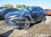 2024 Lexus RX350 photo