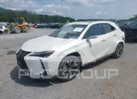 2024 Lexus UX250 photo
