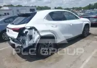 2024 Lexus UX250 фото