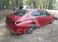 2024 Lexus ES350 фото