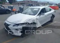 2024 Lexus ES300 photo