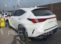 2024 Lexus NX250 фото