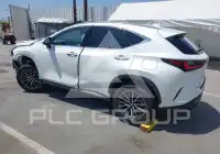 2024 Lexus NX250 фото