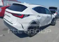 2024 Lexus NX250 фото
