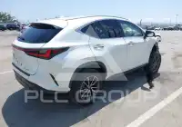 2024 Lexus NX250 фото