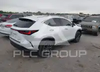 2024 Lexus NX250 фото