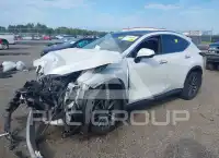 2024 Lexus NX250 фото
