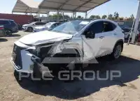 2024 Lexus NX250 фото