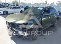 2024 Lexus NX250 фото