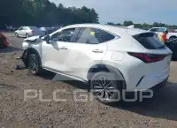 2024 Lexus NX250 фото