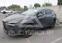 2024 Lexus NX450 фото