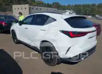 2024 Lexus NX450 фото