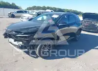 2024 Lexus NX250 photo