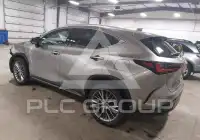 2024 Lexus NX250 photo