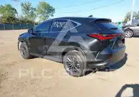2024 Lexus NX250 фото