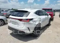 2024 Lexus NX250 photo
