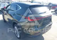 2024 Lexus NX250 photo