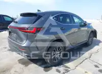 2024 Lexus NX250 photo