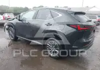 2024 Lexus NX250 фото