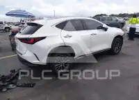 2024 Lexus NX250 фото